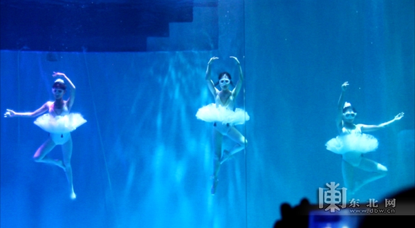 哈爾濱：唯美水舞秀上演 芭蕾舞者潛入6米深水中表演