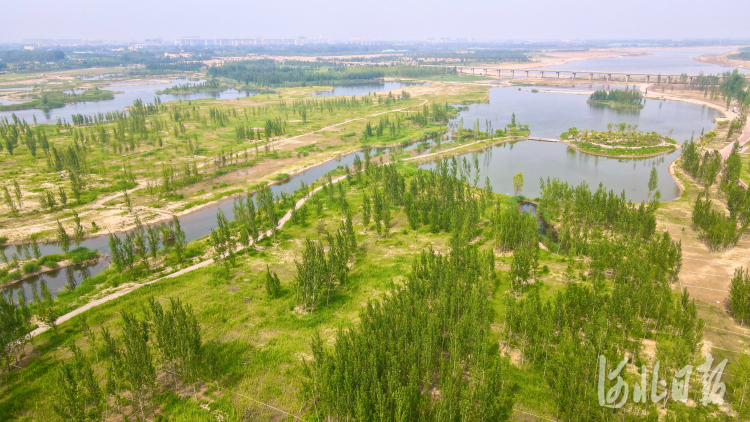 河北石家莊：滹沱河美景惹人愛