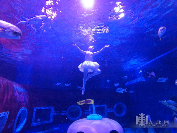 哈尔滨：唯美水舞秀上演 芭蕾舞者潜入6米深水中表演