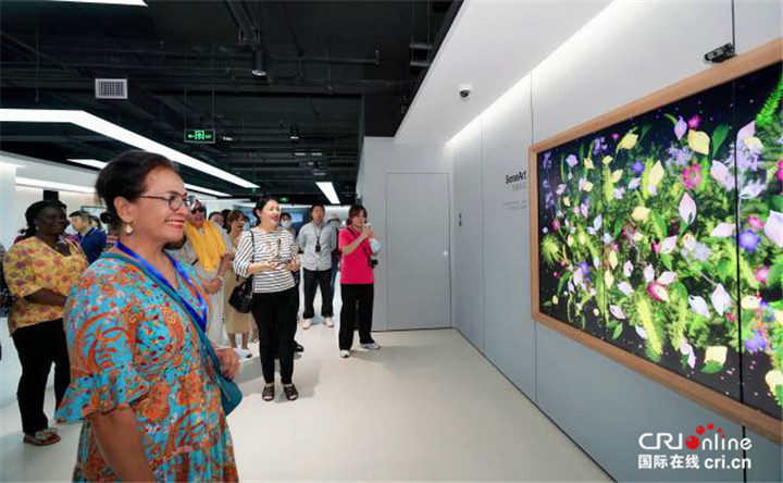 【Hi 西安】探秘人工智能的硬科技与软实力  驻华大使夫人在商汤科技解锁“未来科技”_fororder_图片72