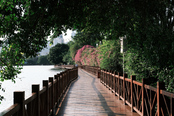 遇见世遗|脚步里的城市时光