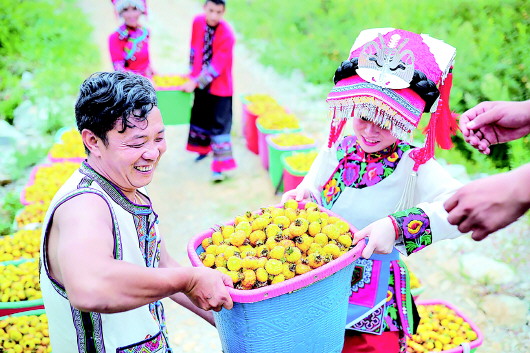 （市州）六盘水“小题大做”让刺梨登大雅之堂