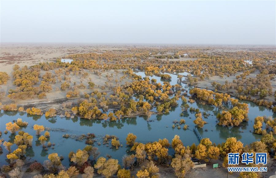 2017年塔里木河下游生态输水累计下泄水量突破10亿立方米
