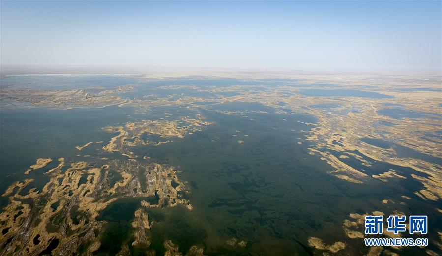 2017年塔裏木河下游生態輸水累計下泄水量突破10億立方米