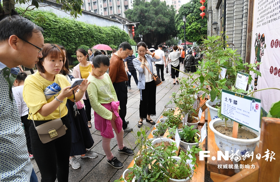 【福州】【移动版】福州民间草药展亮相南后街