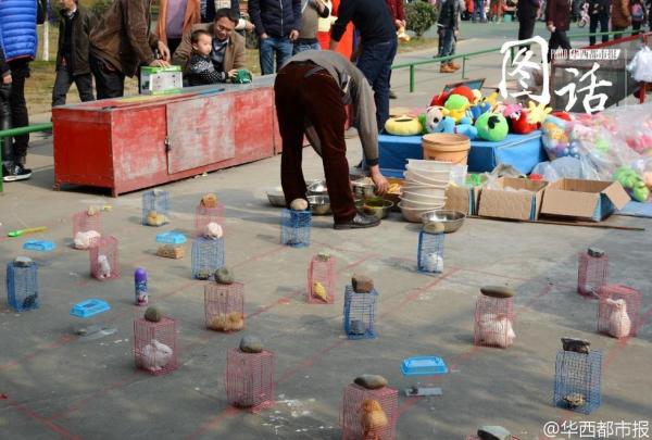 四川一公园套圈游戏用小动物当活靶子(图)