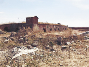 村口砖窑变身菌业生产基地