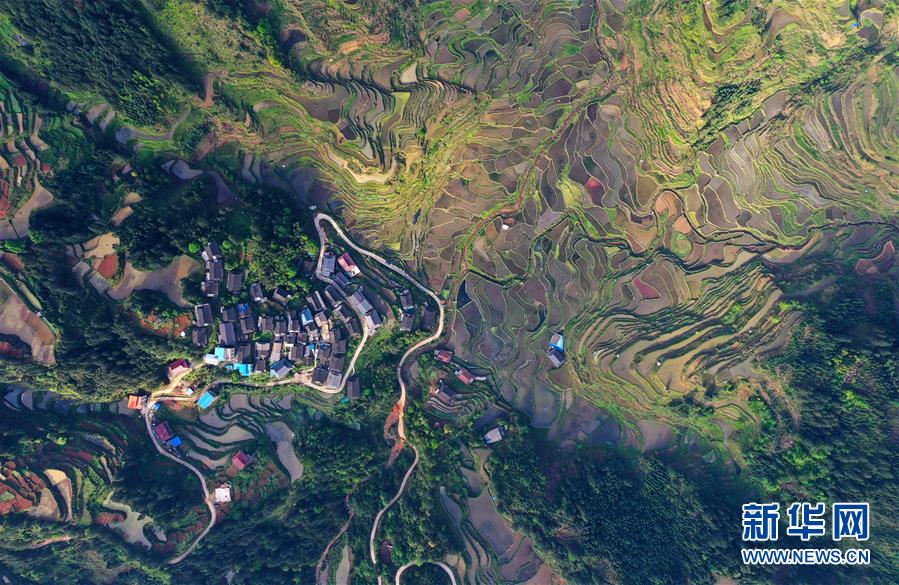 广西融水：苗山梯田