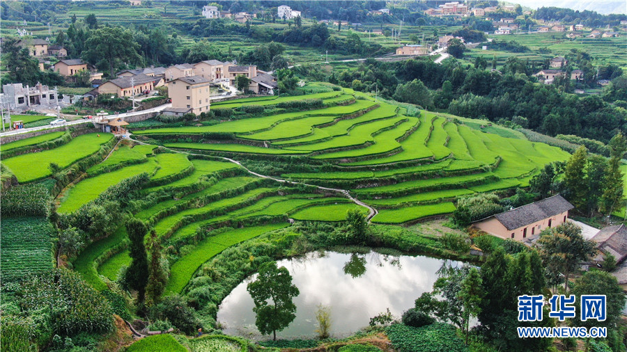 夏日牛洞坪：层层梯田 如画村庄