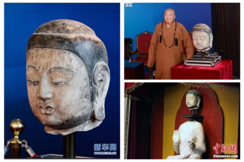 两岸齐心协力“护宝”记