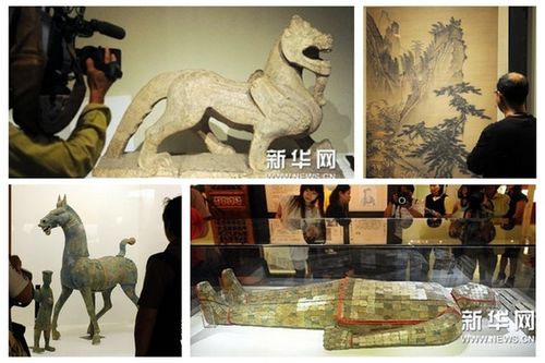 两岸齐心协力“护宝”记