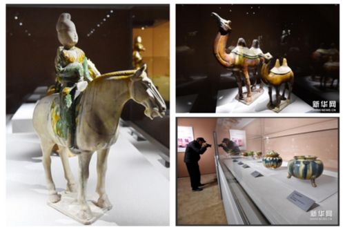 两岸齐心协力“护宝”记