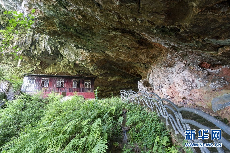 夏日地心谷 綠水青山入畫來