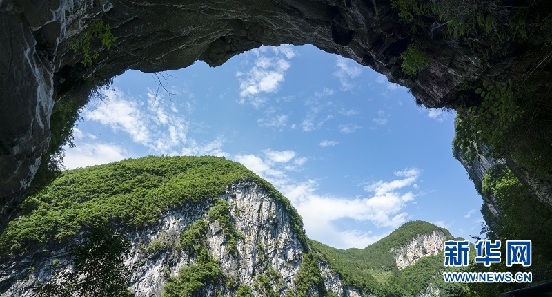 夏日地心谷 綠水青山入畫來