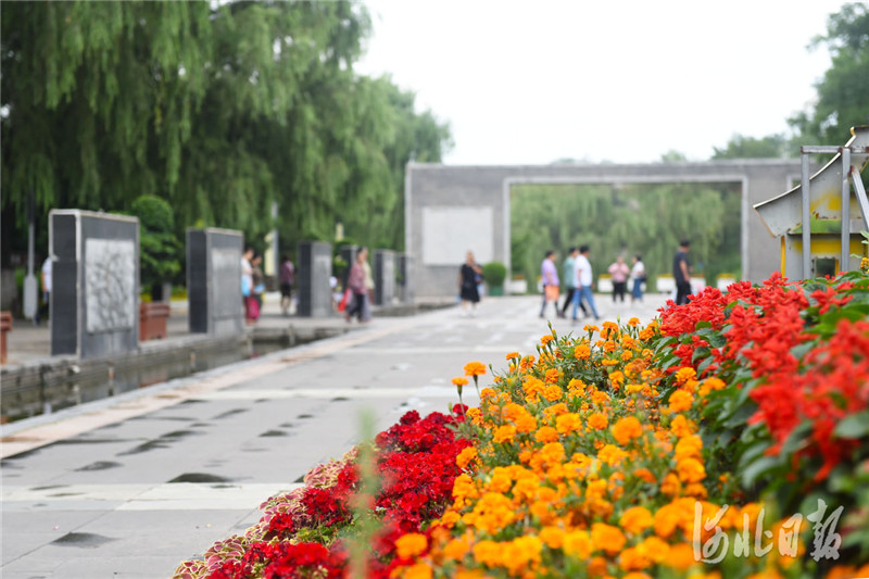 河北張家口：建設生態公園 提升幸福指數