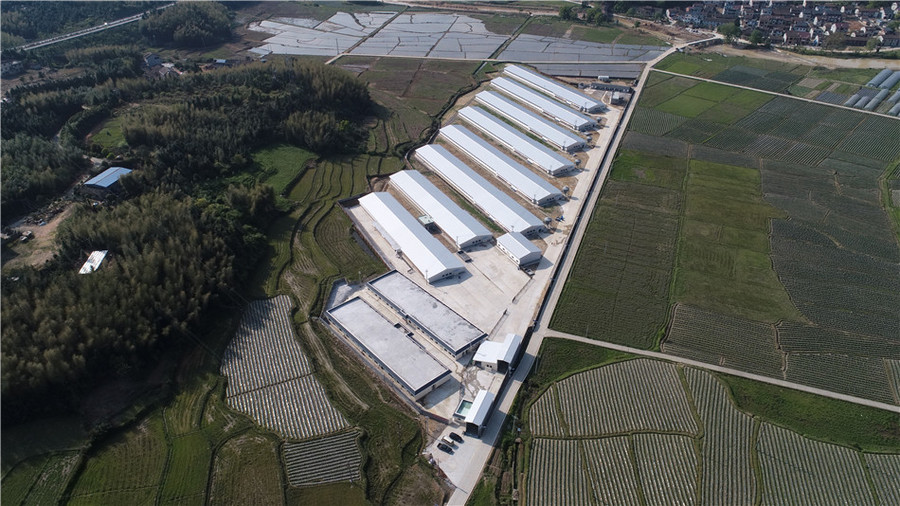 聖農集團肉雞飼養場技改擴建工程竣工