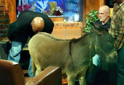 林书豪怒批奥斯卡因被伤太深 亚裔屡遭种族歧视 林书豪怒批奥斯卡因被伤太深 亚裔屡遭种族歧视