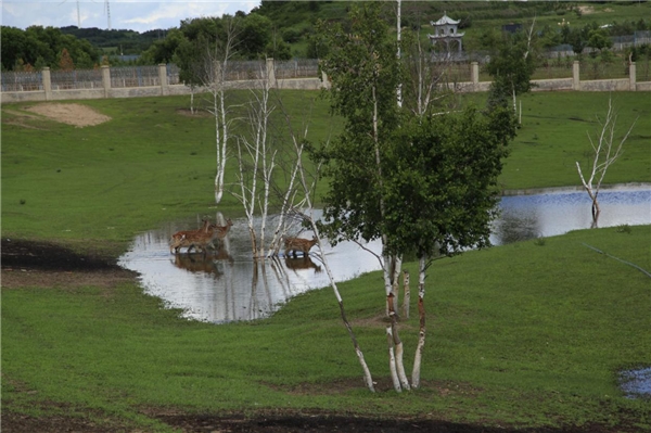 大自然的深意：火车酒店为啥这么火！