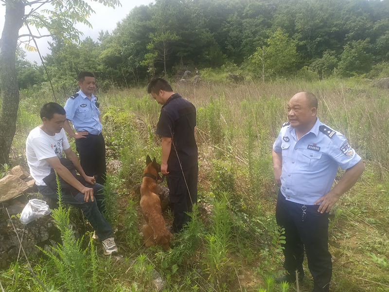 广元：老人上山采药迷路迷路 警民联手7小时后找回_fororder_微信图片_202107140938443
