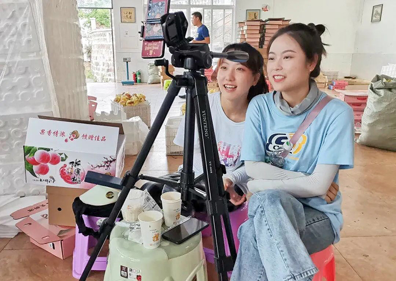 成都龙泉驿区柏合街道：蜜桃销售有“妙招” “助攻”农民奔富路_fororder_柏合街道水蜜桃进行“网络销售”-供图--成都市龙泉驿区柏合街道办