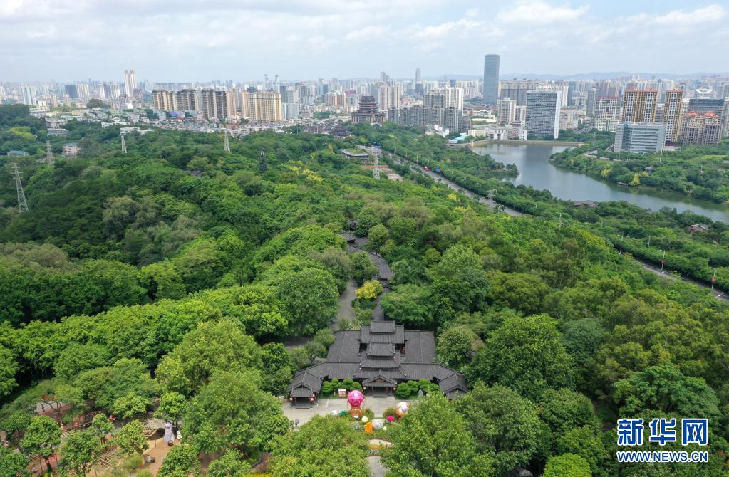 廣西南寧：綠城風物夏日好 碧水青山入畫來