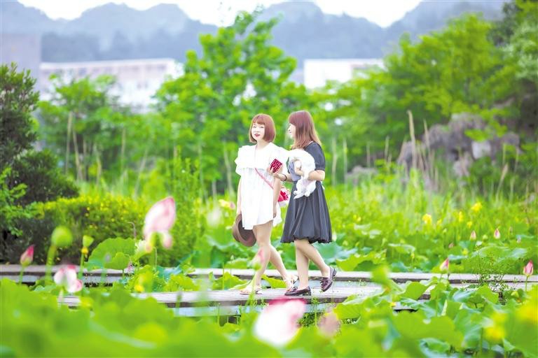 （中首）夏日荷花迎客来_fororder_fe324477-6d57-4331-bfa4-4d7740cfa859