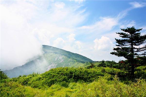 （转载）现在就出发！陕西这些避暑胜地 许你一个清凉夏天