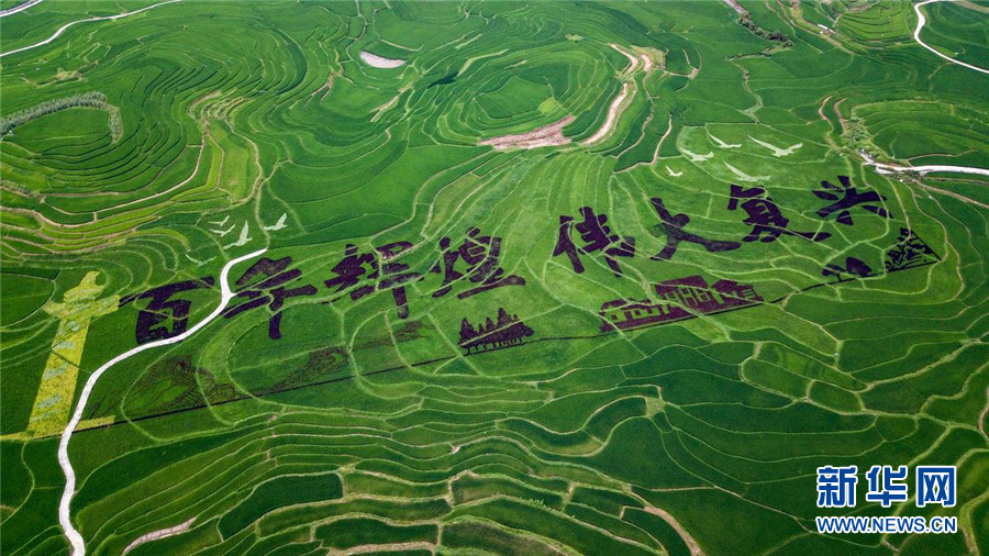 壮观！“中国白裤瑶之乡”千亩梯田现巨幅稻田画