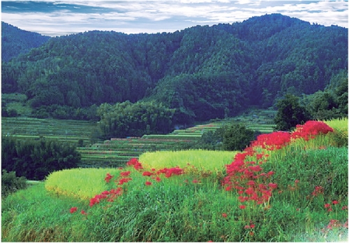 （转载）现在就出发！陕西这些避暑胜地 许你一个清凉夏天