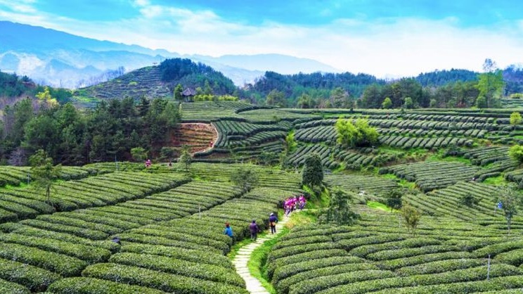 （转载）现在就出发！陕西这些避暑胜地 许你一个清凉夏天