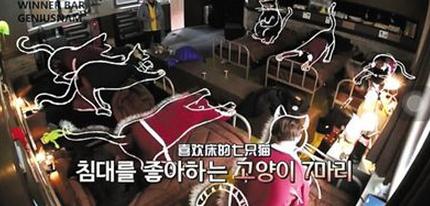 新玩法？看韩国“花样”综艺怎么玩坏明星