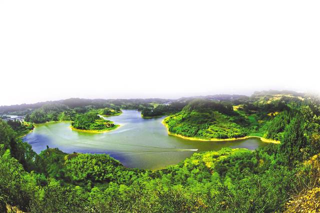 【环保视点 政务资讯 图文摘要】南川以绿色促发展 建设大美家园