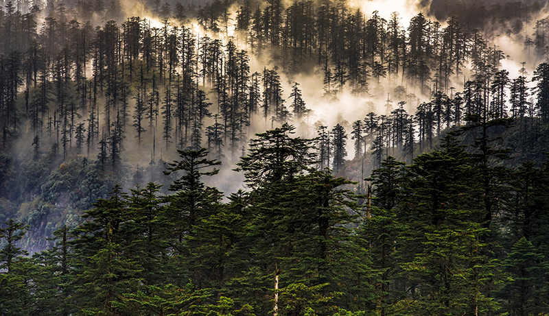 眉山洪雅：瓦屋山间美如画 避暑康养好去处_fororder_云涌林海-摄影-李屏