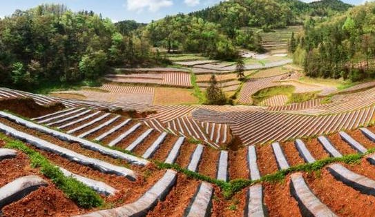 黔江：美麗鄉村 雲上水市