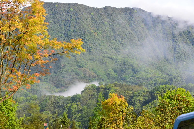 爬山戏水享清凉 四川夏日避暑好去处_fororder_碧峰峡-供图-四川省文旅厅
