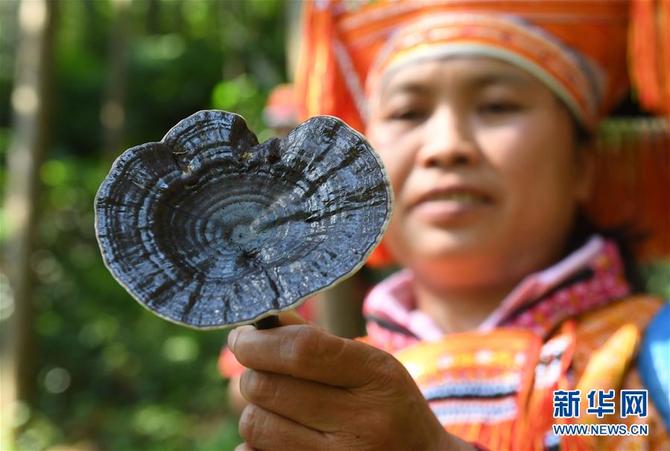 图片默认标题_fororder_2