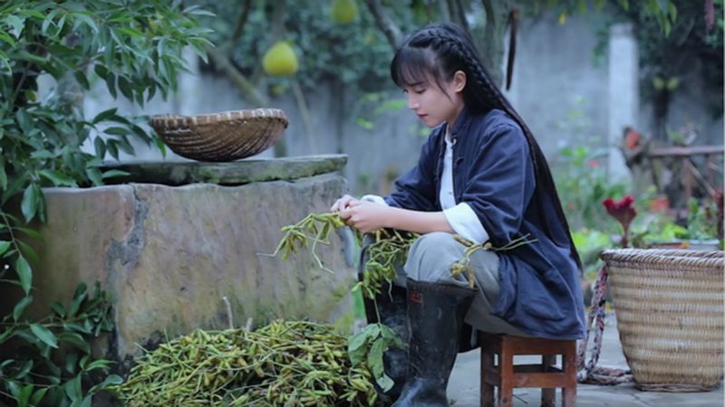 揭批台亲绿媒体《自由时报》涉大陆民生十大谎言