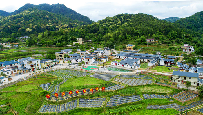 第三届“广东十大美丽乡村”系列活动启动_fororder_5_副本