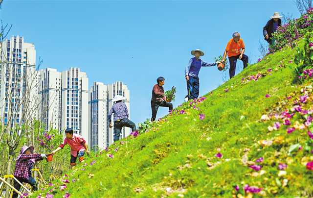 【城市远洋】【焦点图】重庆：绿化美化坡坎崖