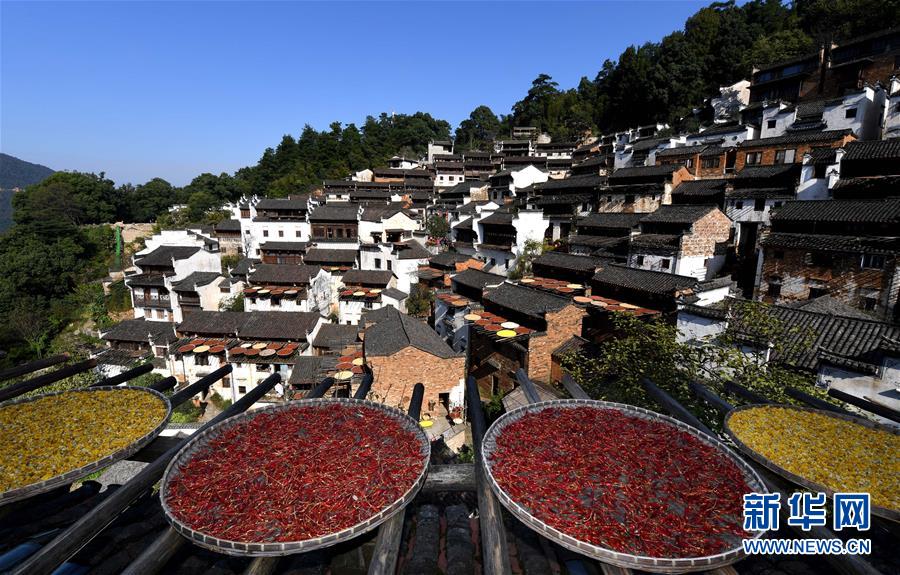 江西婺源曬秋忙 江西婺源曬秋忙