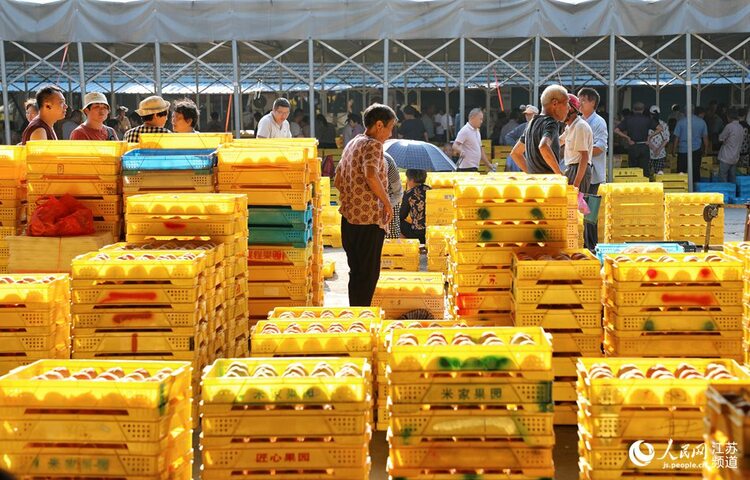 無錫陽山：水蜜桃讓桃農生活甜蜜蜜_fororder_7