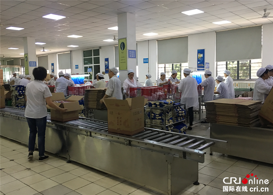 “华山论剑”西凤酒801车间 ：“专线”造就“好品质”