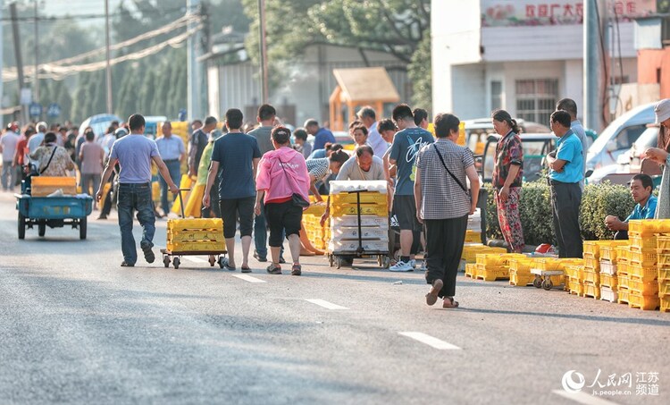無錫陽山：水蜜桃讓桃農生活甜蜜蜜_fororder_5