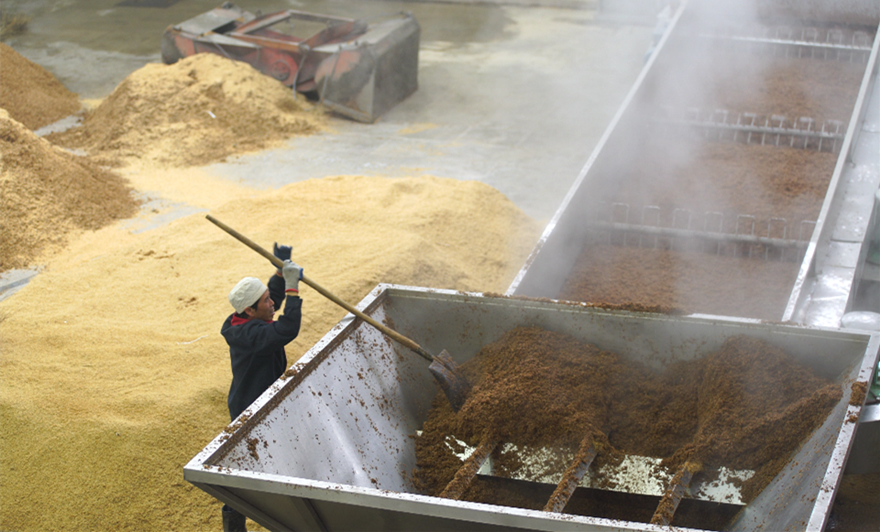走进“华山论剑”西凤酒厂 见证“好品质 专线造”的中国品牌