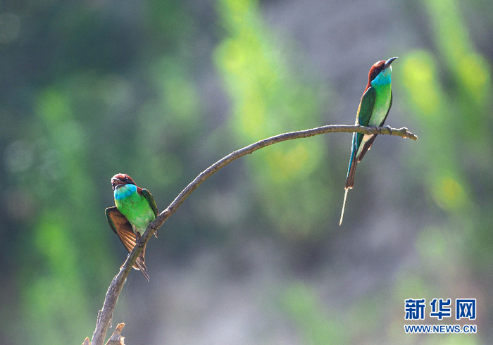 图片默认标题_fororder_CqgNOlz3D3KAK-YRAAAAAAAAAAA096.874x611