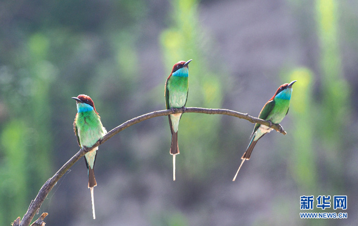 图片默认标题_fororder_CqgNOlz3D3KAfxRVAAAAAAAAAAA516.969x611