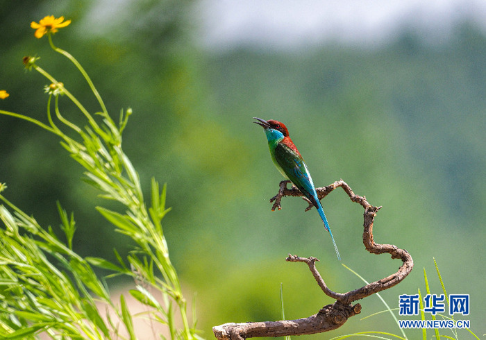 图片默认标题_fororder_CqgNOlz3D3KAPwuVAAAAAAAAAAA414.874x611