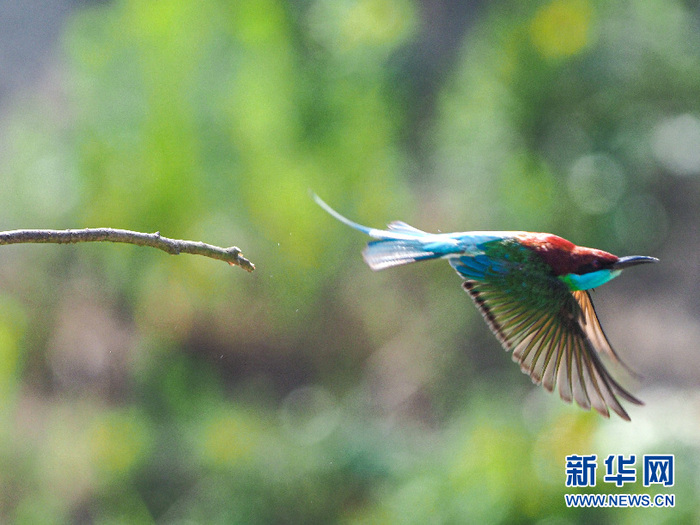 图片默认标题_fororder_CqgNOlz3D32AYlLiAAAAAAAAAAA067.815x611