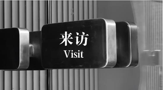 “含涛量为零” 《来访》里还剩多少贾樟柯味道？