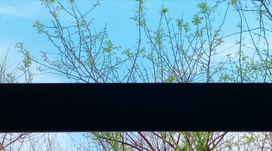 “含涛量为零” 《来访》里还剩多少贾樟柯味道？